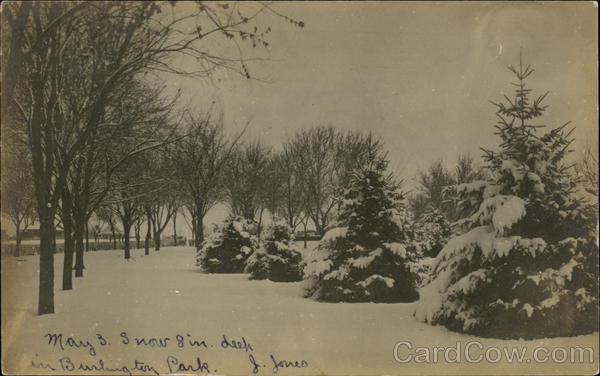 Snow in Burlington Park Oxford Nebraska