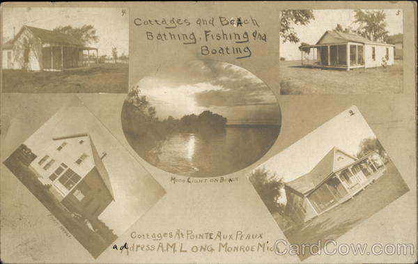 Cottages and Beach, Pointe Aux Peaux MultiView Newport Michigan