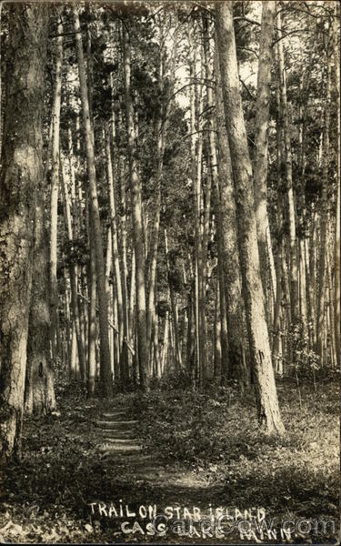 Trail on Star Island Cass Lake Minnesota