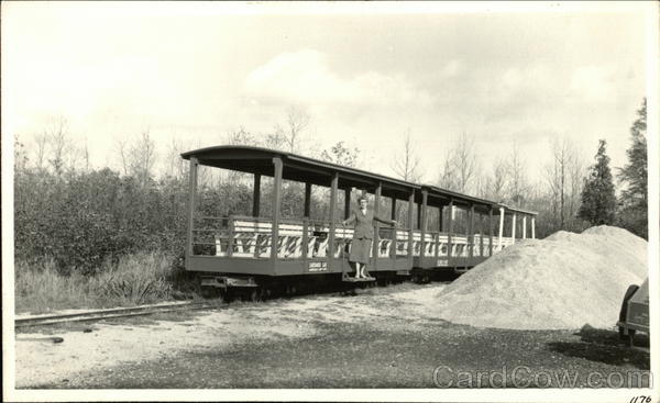 In the trolley rail yard Trolleys & Streetcars