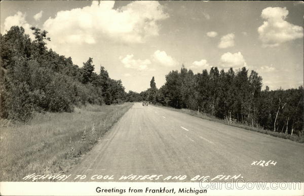 Highway to Cool Water and Big Fish Trees