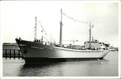 The m.v. "Cornelia B I" Postcard