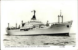 Jamaica Banana Producers S/S Co. Ltd. M.V. "Jamaica Producer" Postcard