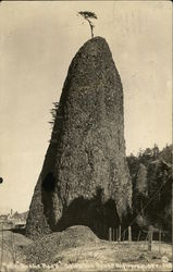 Needle Rock, Columbia River highway Oregon Postcard Postcard