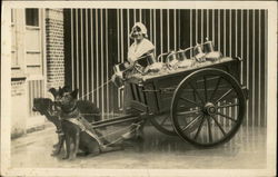 Flemish Milkmaid with Dog Cart Postcard