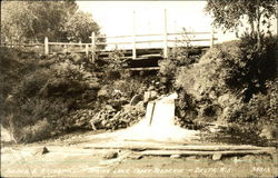Bridge and Waterfall, Spring Lake Postcard