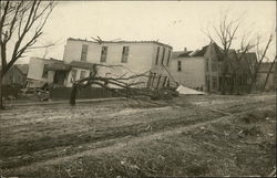 Homes and trees destroyed after bad storm Chatham, IL Postcard Postcard