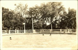 Island Park Swimming Pool Postcard
