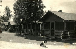 Sunset Bay Cabins Postcard