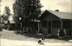 Sunset Bay Cabins Houghton Lake, MI Postcard Postcard