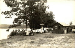 Pine Beach, E. Twin Lake Lewiston, MI Postcard Postcard