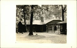 Log Cabin, House Michigan Postcard Postcard