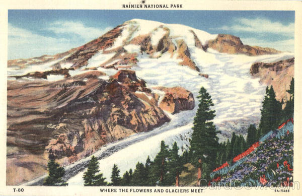 Rainier National Park Mount Rainier National Park Rainier National Park Mount Rainier National Park