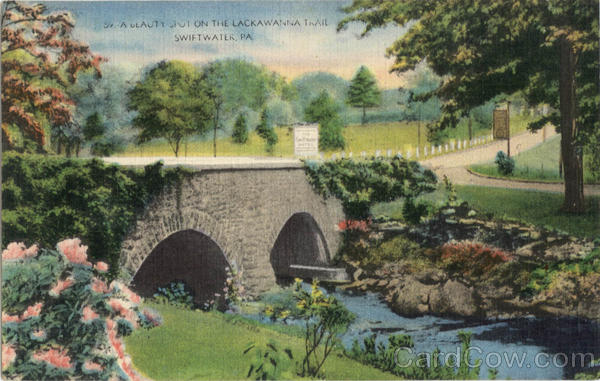 A Beauty Spot On The Lackawanna Trial Swiftwater Pennsylvania