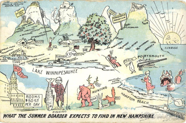 What The Summer Boarder Expects To Find In New Hampshire Scenic