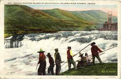 Indians Spearing Salmon At Celilo Falls Columbia River Highway, OR Postcard Postcard