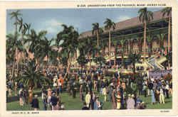 Grandstand From Paddock Jocky Club Miami, FL Postcard Postcard