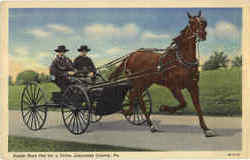 Amish Boys Out For A Drive Postcard