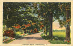 Greetings From Tunkhannock Postcard