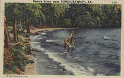 Beauty Scene Postcard