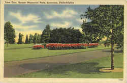 Yew Tree, Sunset Memorial Park Postcard