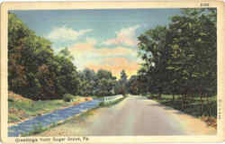Greetings From Sugar Grove Postcard