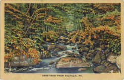 Greetings From Saltillo Postcard