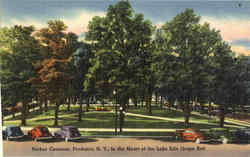 Barker Common Fredonia, NY Postcard Postcard
