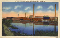 New York And Penna Postcard