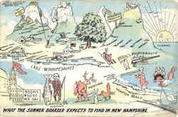 What The Summer Boarder Expects To Find In New Hampshire Scenic, NH Postcard Postcard