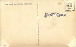 back