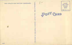 back