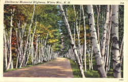 Shelburne Memorial Highway Postcard