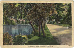 Greetings From Pittsfield Postcard