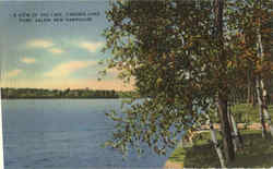 A View Of The Lake, Canobie Lake Park Postcard