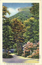 Old Man Of The Mountains Postcard