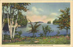 Roberts Cove Lake Winnipesaukee, NH Postcard Postcard