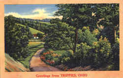 Greetings From Trippies Ohio Postcard Postcard