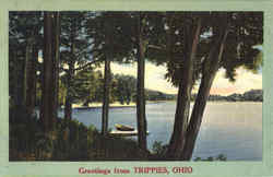 Greetings From Trippies Ohio Postcard Postcard