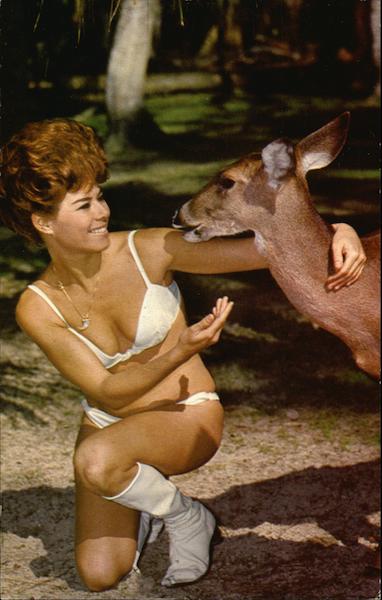 Dear Meets Deer