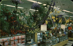 Scene from Hess's Annual International Flower Show - Hess's Department Store Postcard