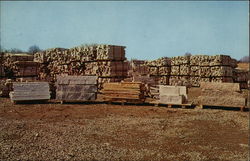 Connecticut Stone Supplies Orange, CT Advertising Postcard Postcard