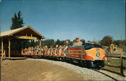 Birch Hill Game Park - Sky Chief Express Patterson, NY Postcard Postcard