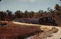 Sightseeing Trains Through Cranberry Bogs Sightseeing Trains Through Cranberry Bogs