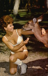 Dear Meets Deer Dear Meets Deer