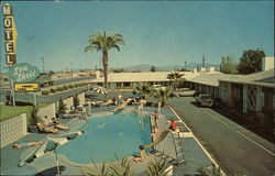 Sea Shell Motel Postcard