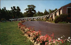 Town Line Motel Meredith, NH Postcard Postcard