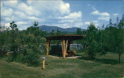 Eastern Slope Camping Area Postcard