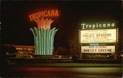 Tropicana Hotel Postcard