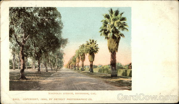 Magnolia Avenue Riverside California